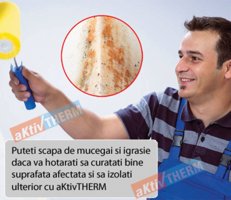<p>Eliminarea mucegaiului din locuinte</p>